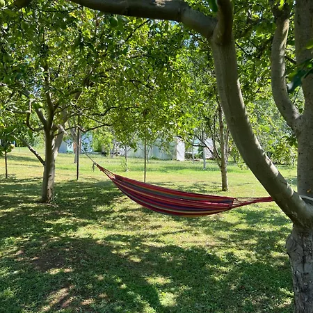 Hébergement de vacances Elza *